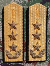 cgsb9s.jpg (3768 bytes)