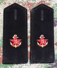 cmsb1s.jpg (3768 bytes)