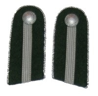 rse105s.jpg (3028 bytes)