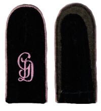 rse243ps.jpg (3278 bytes)