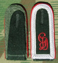 rse498s.jpg (3278 bytes)