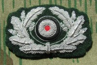 rse600s.jpg (3443 bytes)