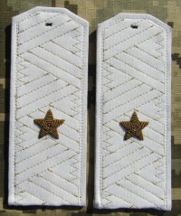 ugsb17s.jpg (63292 bytes)